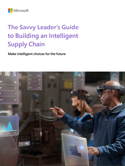 The-savvy-leaders-guide