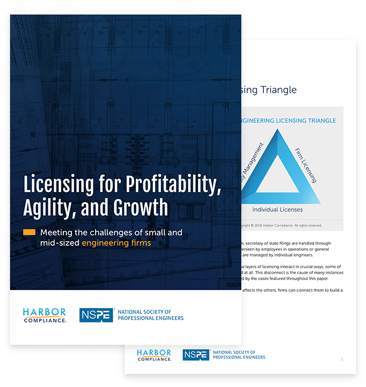 Licensing for Profitability, Agility, & Growth: Meeting the Challenges of Small and Mid-Sized Engineering Firms